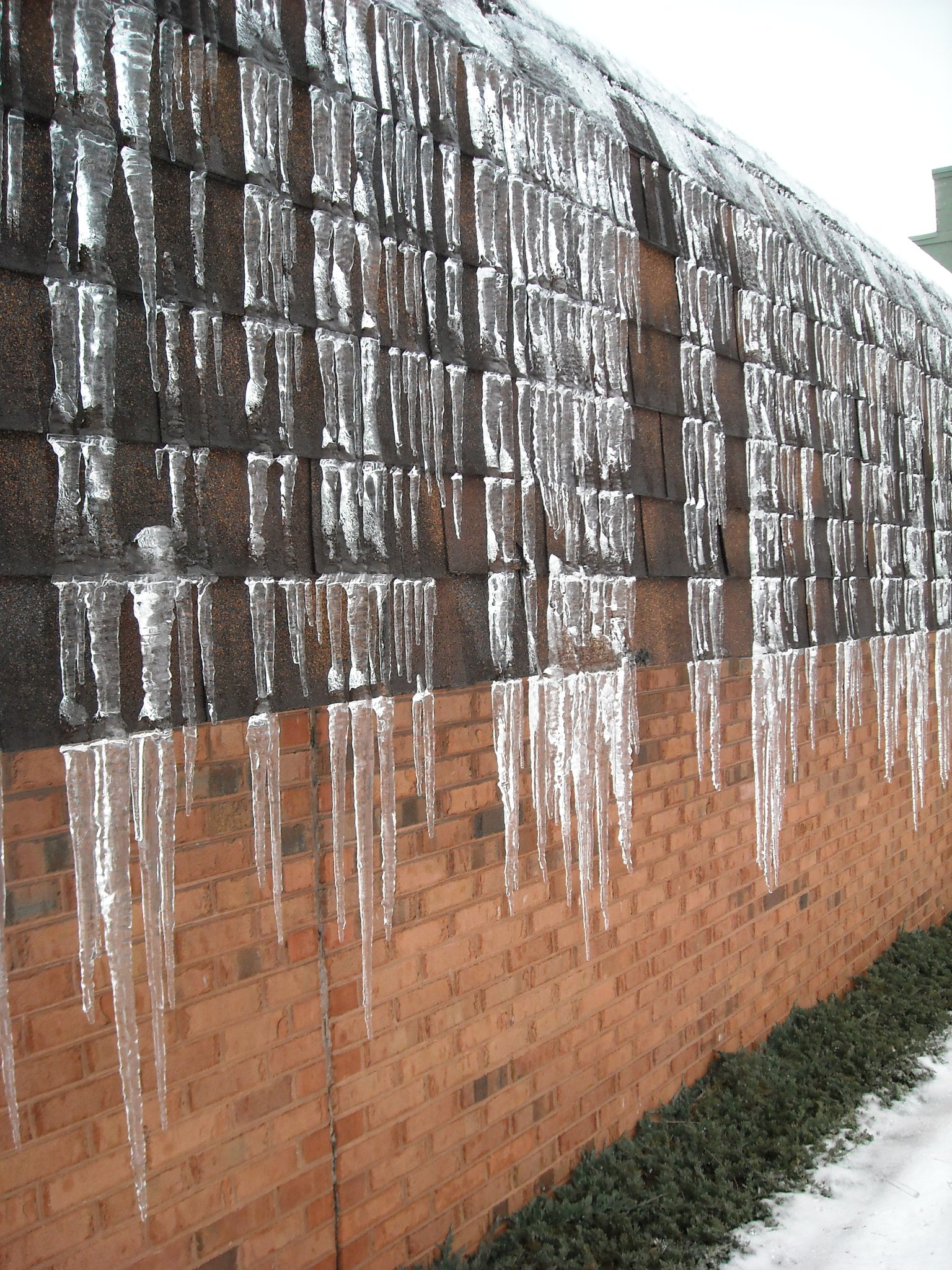 Icicle formation at CK Library.
