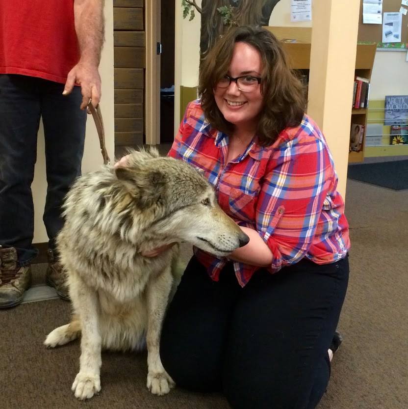 Kayla Young petting a wolf from Southern Ohio Wolf Sanctuary, Inc.